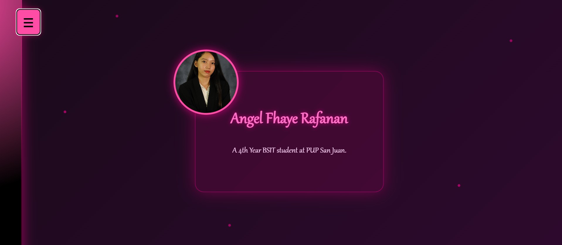 Portfolio Screenshot 1